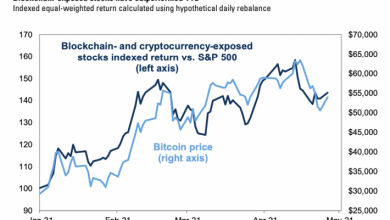 Διάγραμμα της Goldman Sachs που συγκρίνει τις αποδόσεις των μετοχών τεχνολογίας blockchain με την τιμή του Bitcoin. (Goldman Sachs)